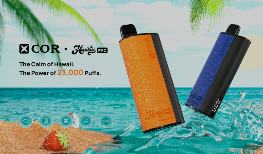 خرید پاد یکبارمصرف 23000 پاف برند ایکس کور هاوایی هندوانه یخ